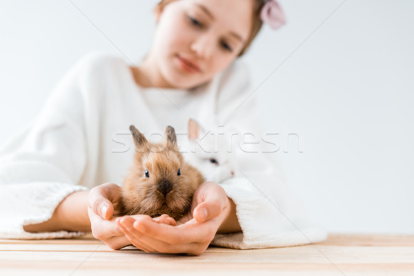 close-up view of girl holding cute furry rabbits on white Stock photo © LightFieldStudios