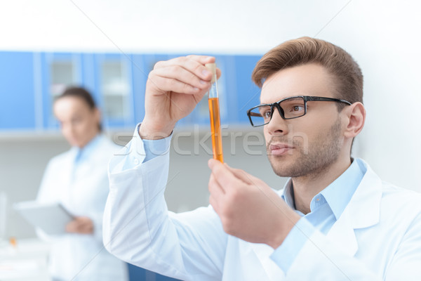 Man scientist in eyeglasses and white coat examining test tube with reagent in lab Stock photo © LightFieldStudios