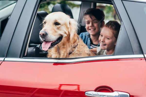Dzieci posiedzenia samochodu psa szczęśliwy piękna Zdjęcia stock © LightFieldStudios