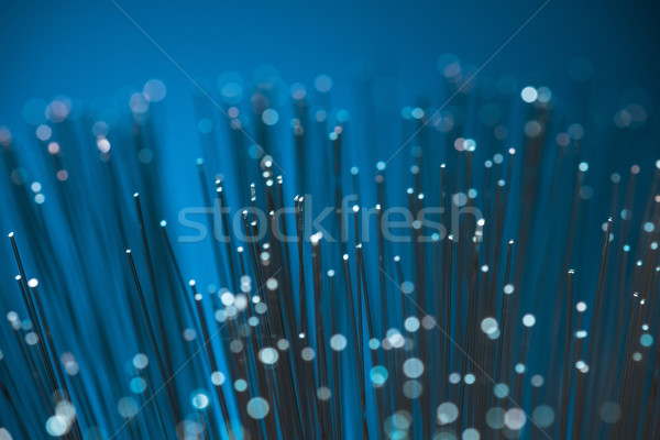 選擇性的重點 藍色 纖維 光學 質地 抽象 商業照片 © LightFieldStudios