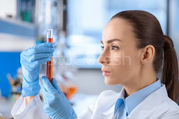 side view of serious scientist examining laboratory tube Stock photo © LightFieldStudios