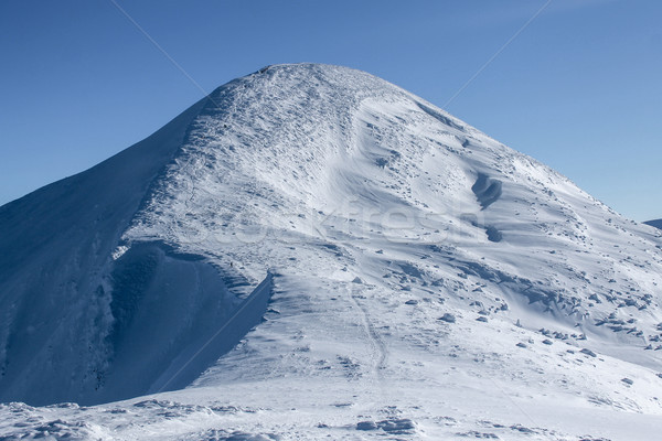 美麗 視圖 山 覆蓋 雪 商業照片 © LightFieldStudios
