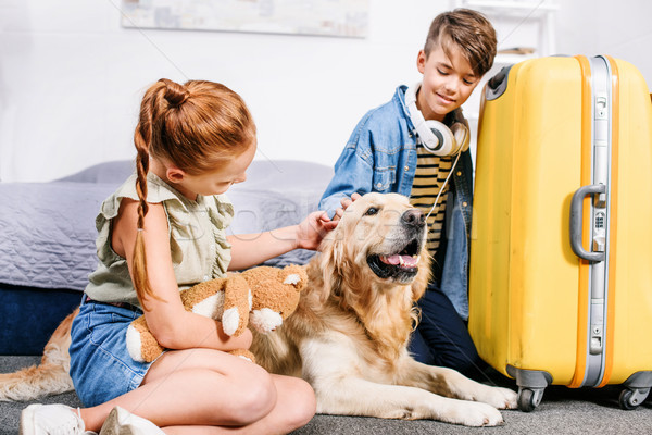 kids petting dog Stock photo © LightFieldStudios