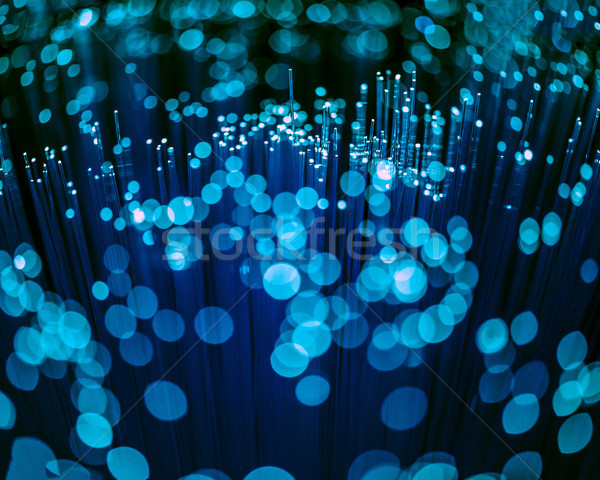Selektiven Fokus glühend blau Faser Optik Textur Stock foto © LightFieldStudios