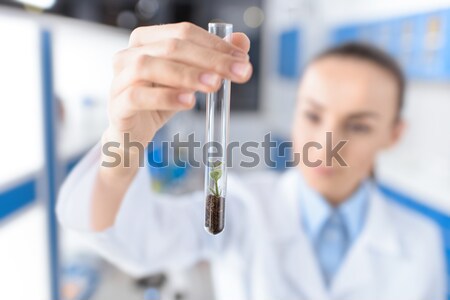 Stock photo: scientist holding laboratory tube with plant in hand, focus on foreground