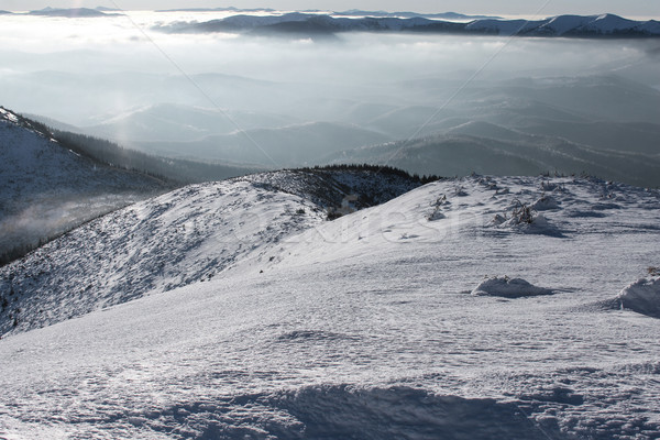 [[stock_photo]]: Scénique · vue · montagnes · forêt · couvert · neige