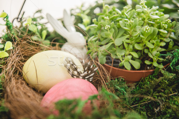 Plant and Easter eggs Stock photo © LightFieldStudios