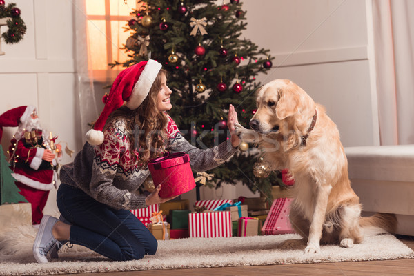 Stock fotó: Fiatal · nő · kutya · boldog · mikulás · kalap · játszik