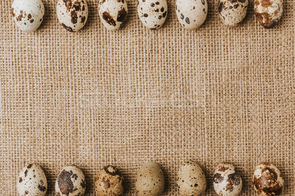 quail eggs laying in a rows on sackcloth   Stock photo © LightFieldStudios
