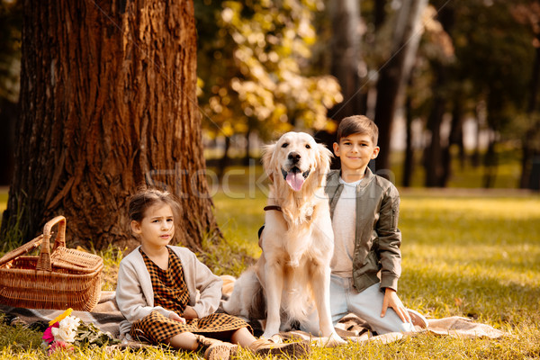 Dzieci psa parku mały posiedzenia koc piknikowy Zdjęcia stock © LightFieldStudios