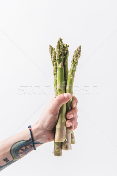 Hand holding green asparagus stalks isolated on white background Stock photo © LightFieldStudios