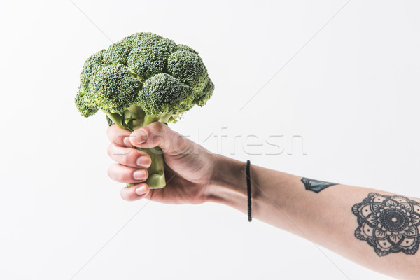 Mână broccoli varza izolat Imagine de stoc © LightFieldStudios