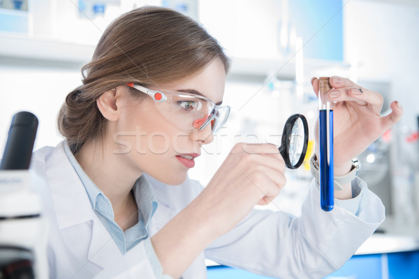Naukowiec patrząc probówki młodych kobiet chemicznych Zdjęcia stock © LightFieldStudios