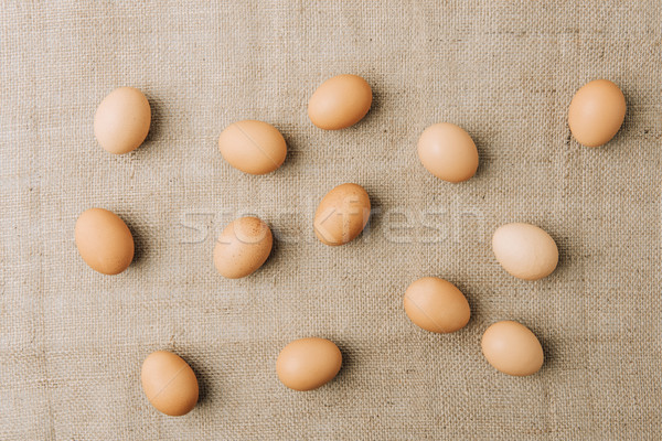 brown eggs scatterd on sackcloth Stock photo © LightFieldStudios
