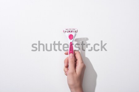 popsicle Stock photo © LightFieldStudios