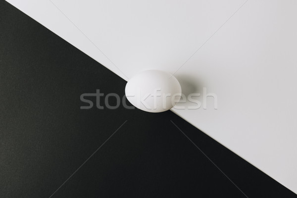 white egg laying in middle of black and white background  Stock photo © LightFieldStudios