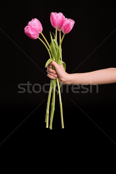 Partial view of woman holding beautiful pink tulips on black, international womens day concept Stock photo © LightFieldStudios