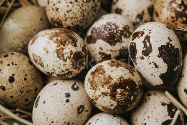quail eggs laying on straw, full frame shot Stock photo © LightFieldStudios