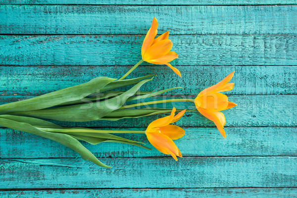 top view of yellow tulips bouquet on turquoise wooden tabletop, wedding flowers bouquet concept Stock photo © LightFieldStudios
