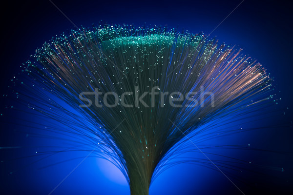 glowing fiber optics on dark blue background Stock photo © LightFieldStudios