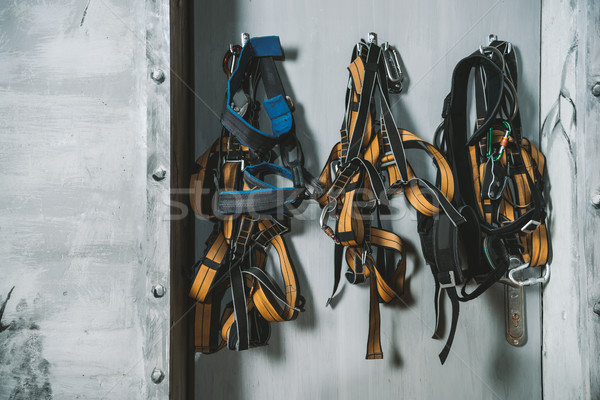 Climbing wall harnesses Stock photo © LightFieldStudios