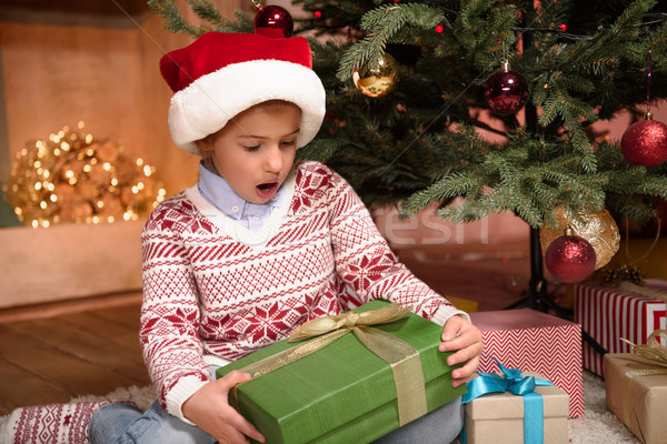 child holding christmas present Stock photo © LightFieldStudios