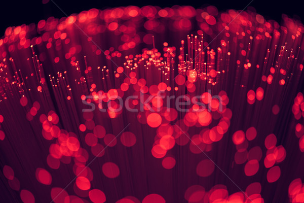 selective focus of glowing red fiber optics background Stock photo © LightFieldStudios