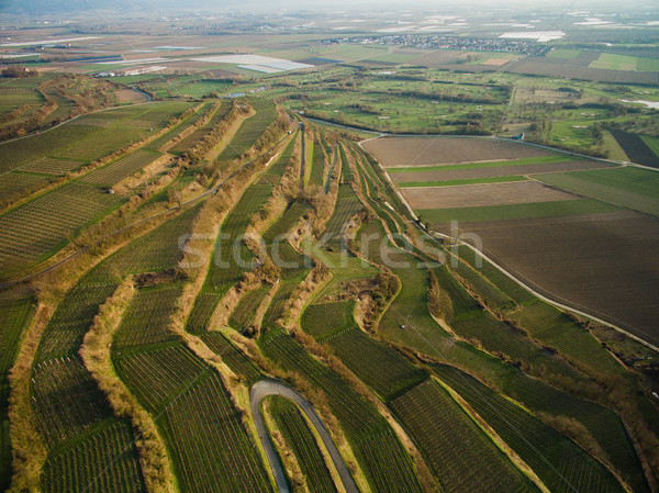 Aerial view of majestic landmark with green fields on tiers, Germany Stock photo © LightFieldStudios