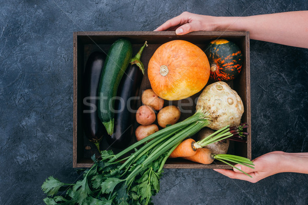 окна овощей рук Top мнение человека Сток-фото © LightFieldStudios