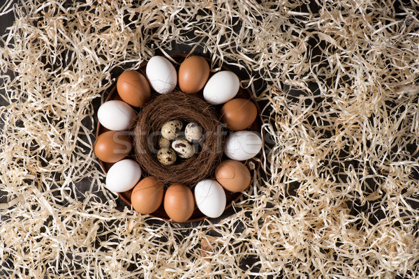 Chicken and quail eggs  Stock photo © LightFieldStudios