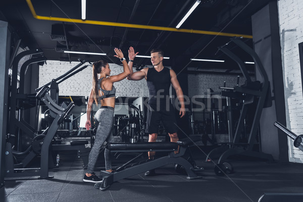 High five para inny siłowni piękna atrakcyjny Zdjęcia stock © LightFieldStudios