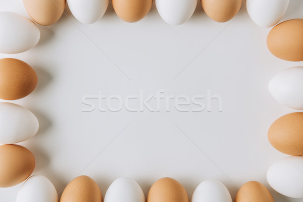 Witte bruin eieren leggen vierkante Stockfoto © LightFieldStudios
