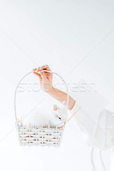 close-up partial view of girl holding basket with cute furry rabbit and blank card isolated on white Stock photo © LightFieldStudios