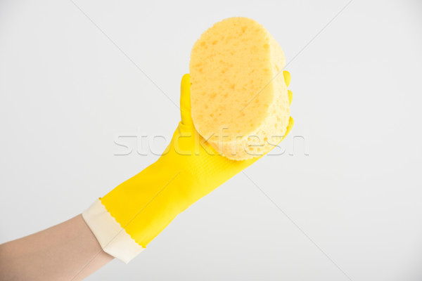 Schwamm Ansicht Handschuh halten Stock foto © LightFieldStudios