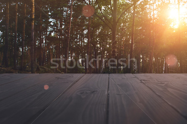 summer forest at sunset Stock photo © LightFieldStudios