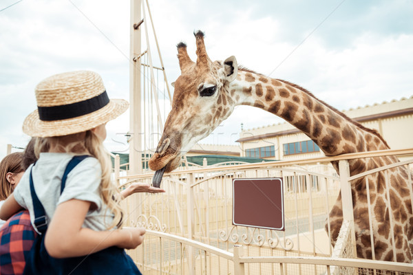 Familie naar giraffe dierentuin vader weinig Stockfoto © LightFieldStudios
