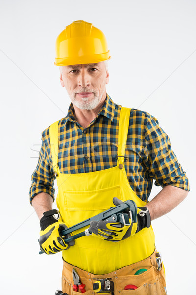 Mature workman in hard hat  Stock photo © LightFieldStudios