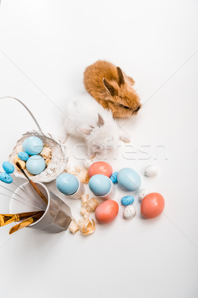 top view of adorable furry rabbits and painted easter eggs on white Stock photo © LightFieldStudios