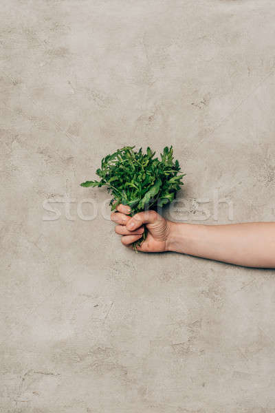 Stock foto: Ansicht · Hand · halten · Haufen · grünen