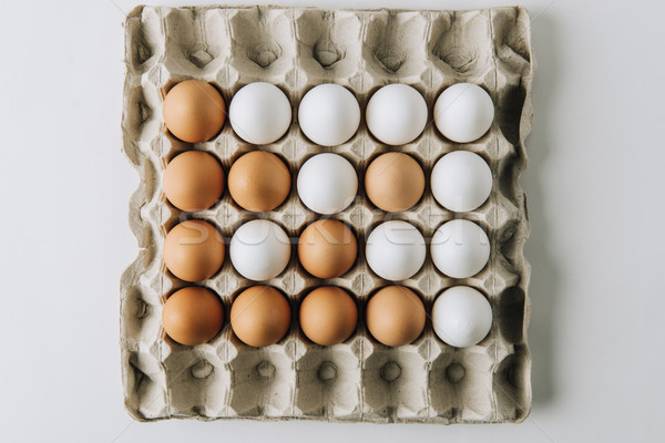 white and brown eggs laying in egg carton on white background   Stock photo © LightFieldStudios