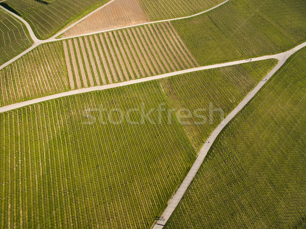 Zdjęcia stock: Widok · z · lotu · ptaka · zielone · dziedzinie · dróg · Niemcy · krajobraz