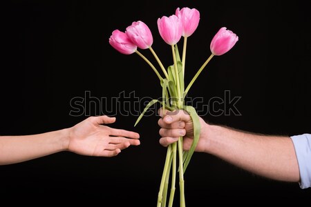 Close-up partial view of man presenting pink tulips to woman on black, international womens day conc Stock photo © LightFieldStudios