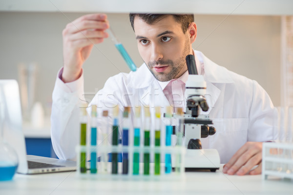 Man scientist in white coat looking at test tube with reagent in lab  Stock photo © LightFieldStudios