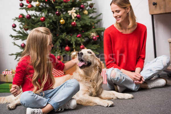 family with dog at christmastime Stock photo © LightFieldStudios