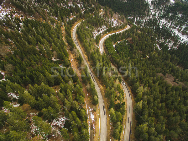Foto stock: Hermosa · paisaje · forestales · dos · carreteras
