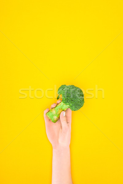 cropped shot of person holding fresh green organic broccoli isolated on yellow Stock photo © LightFieldStudios
