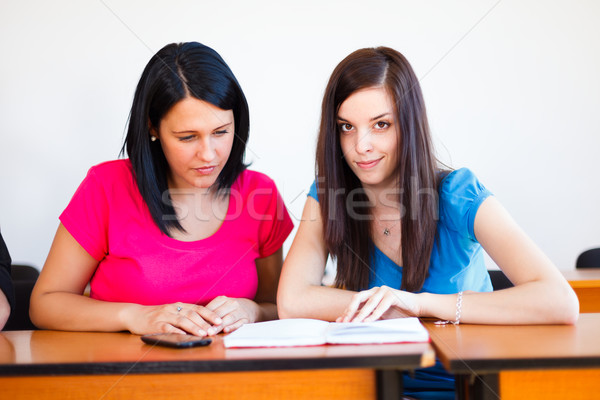 Revising Before Exam Stock photo © Lighthunter