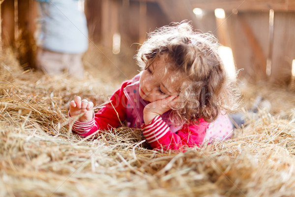 Little Girl in Hay Stock photo © Lighthunter