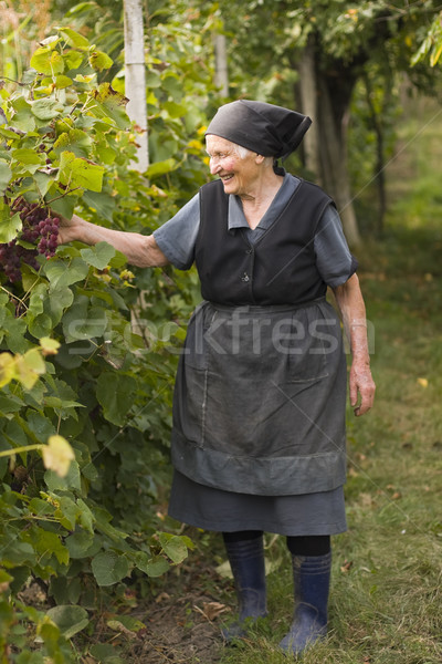 Elderly woman in the garden Stock photo © Lighthunter