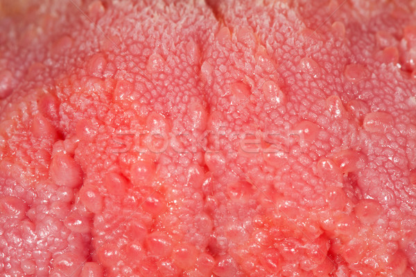 Human tongue texture Stock photo © Lighthunter